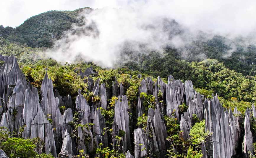 gunung mulu national park malaysia