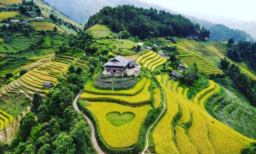 Mu Cang Chai