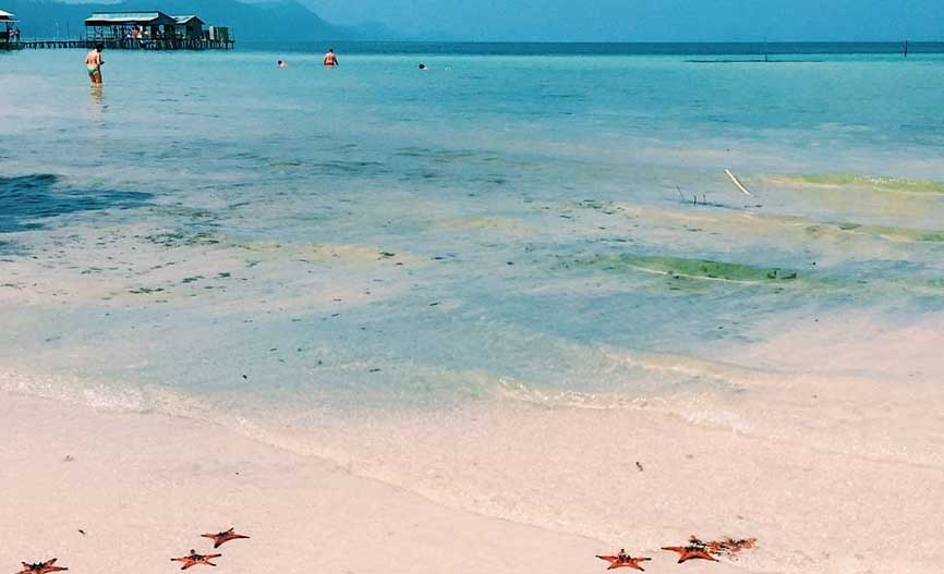 Starfish Beach (Bai Sao) - Phu Quoc