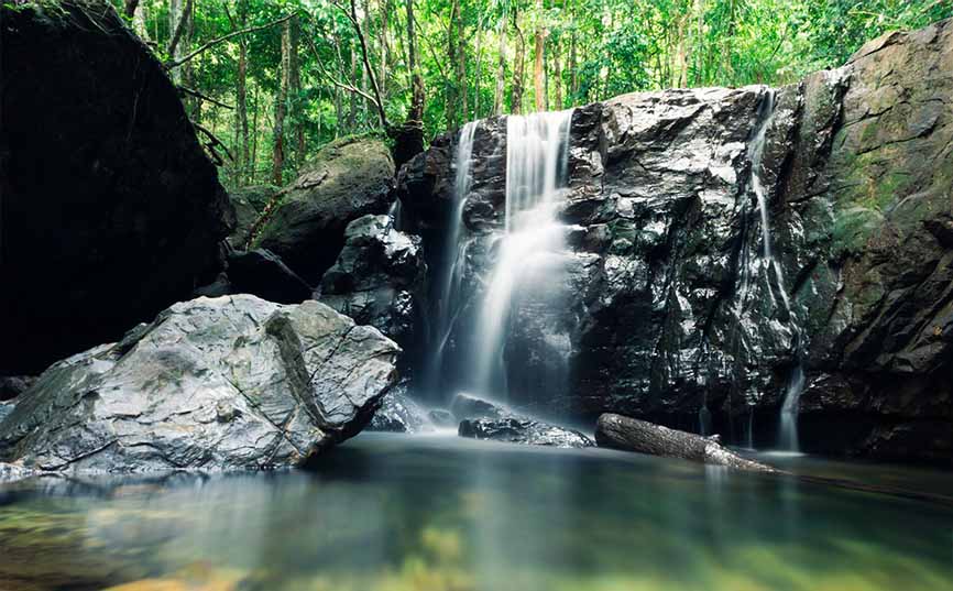 Tranh Waterfall