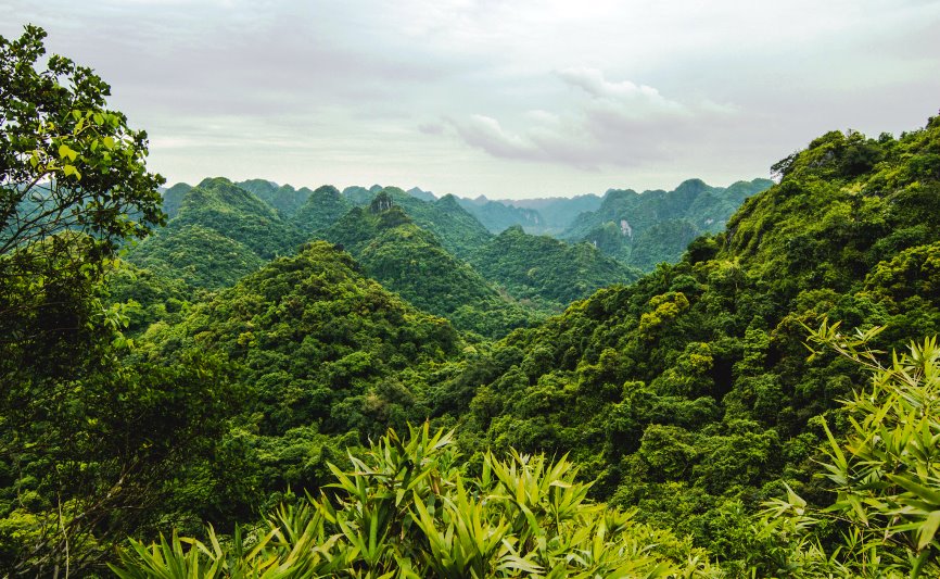 Cat Ba island view