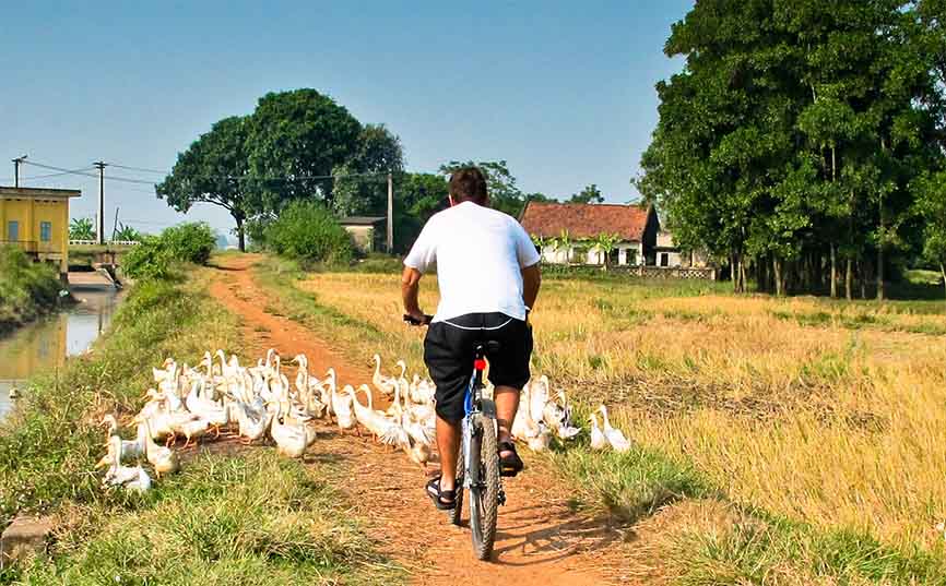 cycling in hanoi countryside