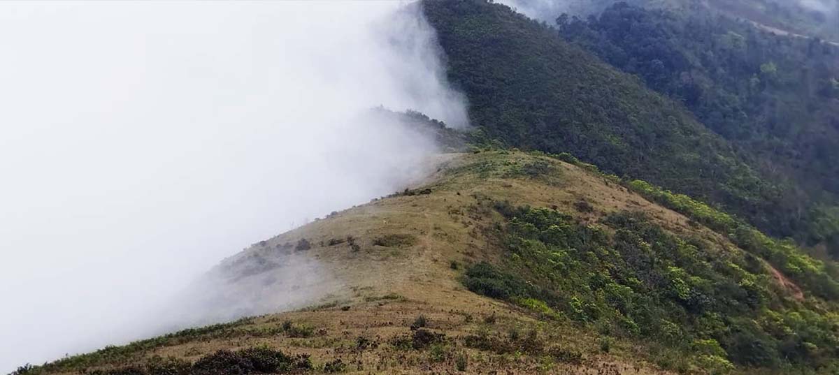 ngoc son - ngo luong vietnam