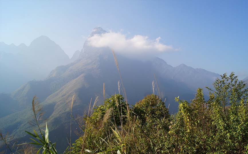 pusilung lai chau