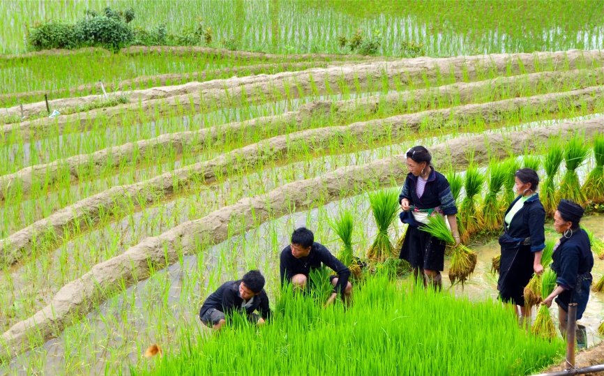 Sapa trekking routes