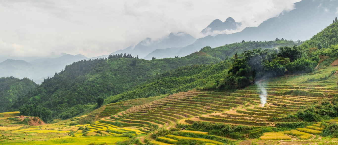 Sapa Trekking