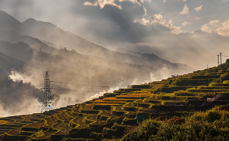 Sapa terraces