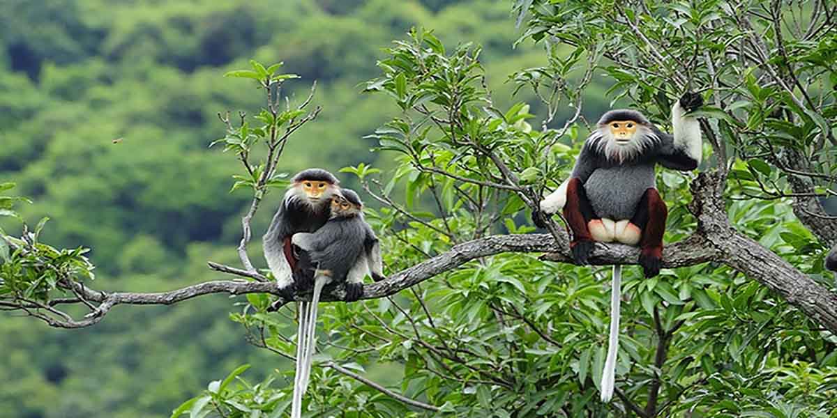 Con Dao National Park