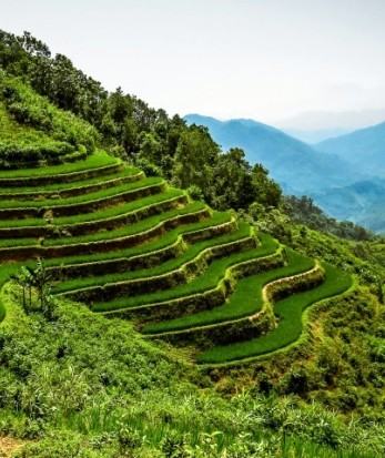 Ha Giang Tour Packages